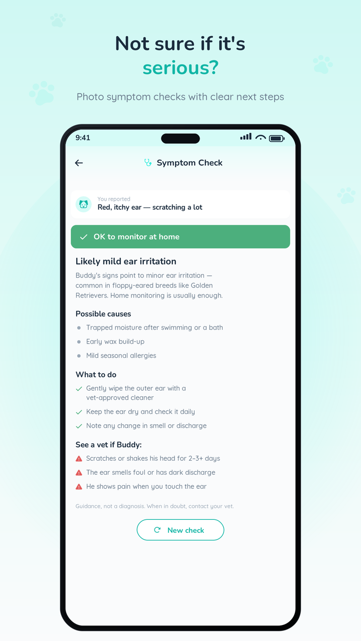 AI Symptom Check giving calm, breed-aware urgency guidance for a pet's ear irritation